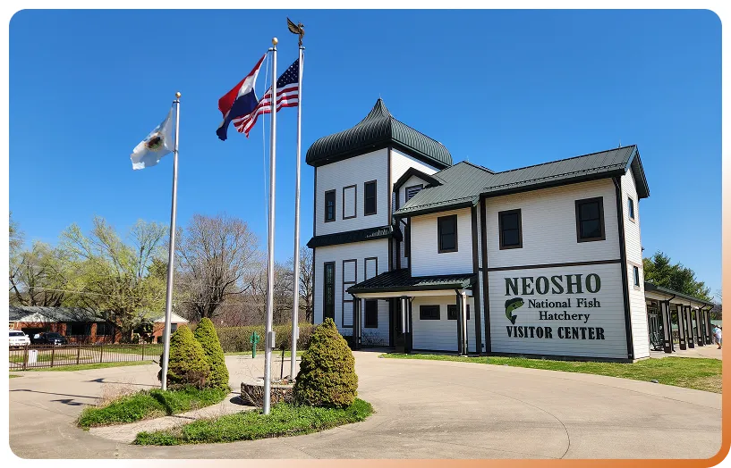 Neosho MO